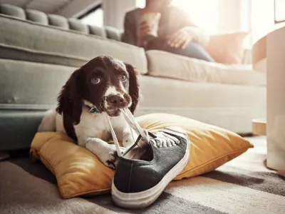 Vedenje ni naključno. / Foto: Istock