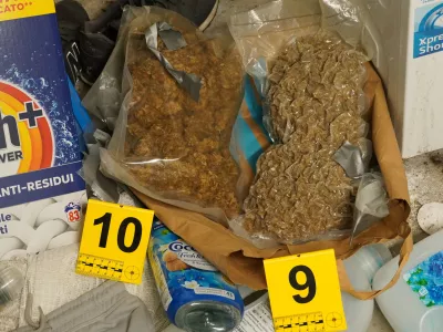 Nekaj marihuane je bilo, kot kaže, že pripravljene za preprodajo.