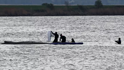 The stranded humpback whale off the island of Poel is covered with cloths by helpers to protect it from the sun and dehydration. A new rescue attempt is to be made for the humpback whale stranded near Wismar. The concept is to be implemented by a private initiative.