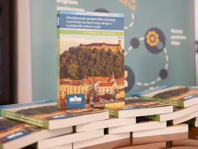 monografije:  &raquo;IZBOLJ&Scaron;EVANJE PODJETNI&Scaron;KE IZKU&Scaron;NJE S POMOČJO PODPORNEGA OKOLJA V LJUBLJANSKI URBANI REGIJI&laquo;
