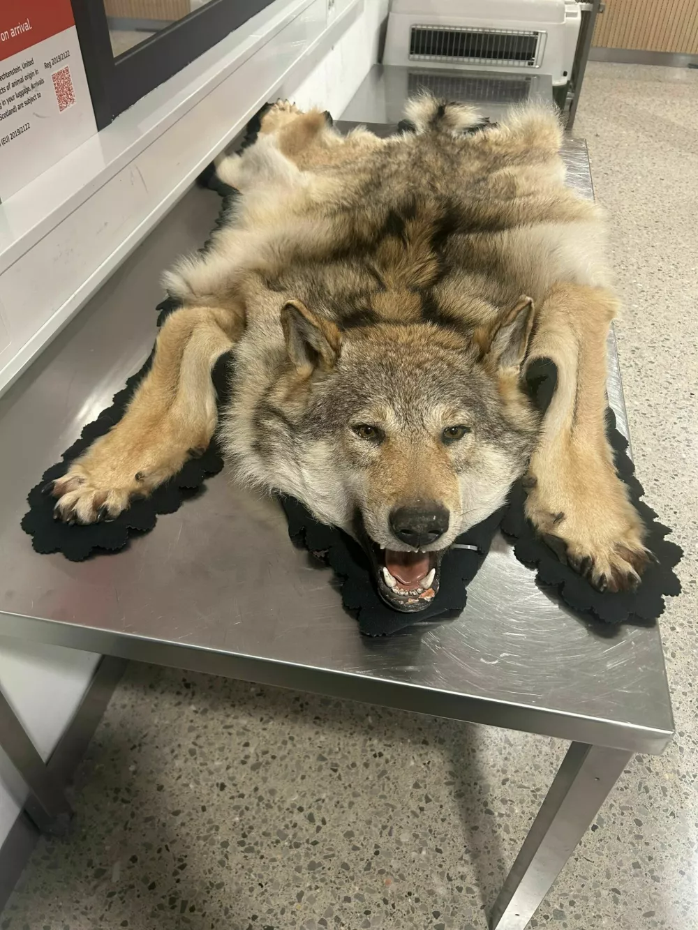 Zasegi Fursa: Konoplja med čajem, 300 litrov penine in 11 milijonov cigaret