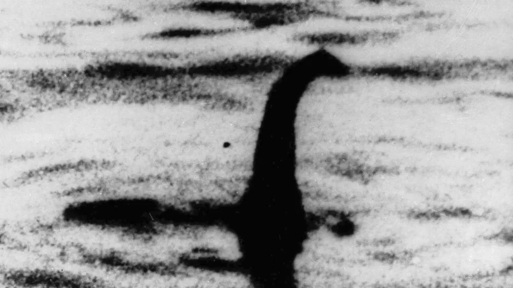 FILE - This undated file photo shows a shadowy shape that some people say is a the Loch Ness monster in Scotland. On Thursday, Sept. 5, 2019, scientist Neil Gemmell from the University of Otago in New Zealand says a project found a surprisingly high amount of eel DNA in the water. He cautioned that it&acirc;&euro;&trade;s not clear whether that indicates a gigantic eel or just a lot of little ones. (AP Photo/File)