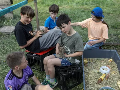 Vrti&scaron;če, kjer mesto sreča naravo