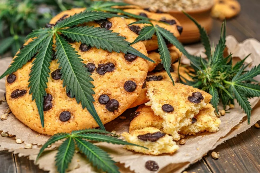 Cookies with cannabis and buds of marijuana on the table. A can of cannabis buds CBD Concept of cooking with cannabis herb. - Medical Legal Marijuana / Foto: Iurii Bukhta