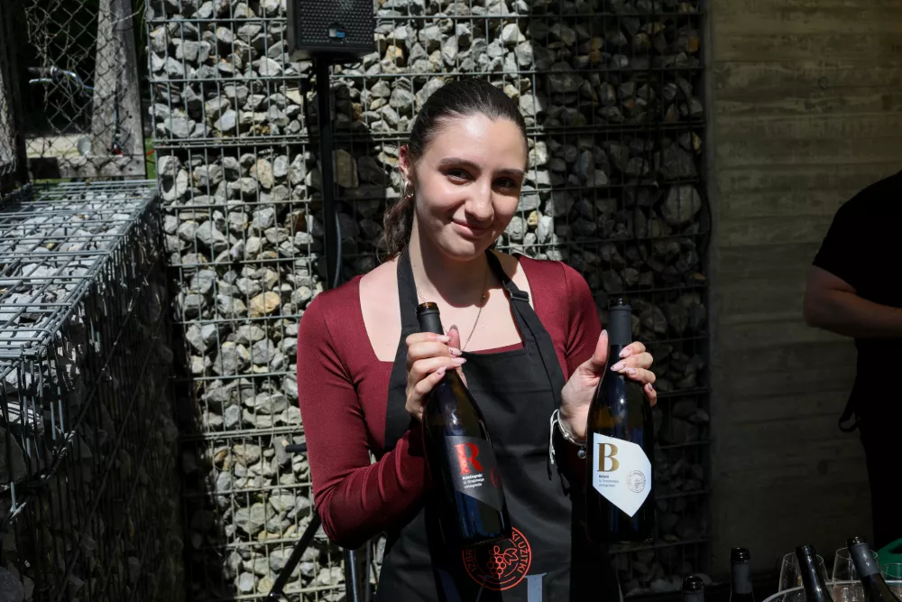 Trte nad mestom dobro uspevajo