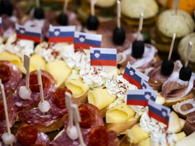 STRANKA SDSnacionalizemnarodna zavednostpatriotizemslovenijasamostojnost neodvisnostsimbolična fotografijalakotastandardBDPpredvolilna kampanjaVOLITVE 202628.02.2026 Pogovorni večer v organizaciji SDS Koalicija z volivci - Kulutrni dom GrosupljeFOTO: Nik Erik Neubauer