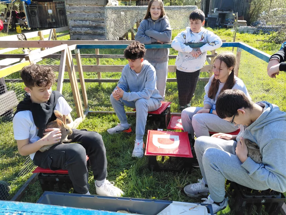 V kotičku za živali so se predvsem najstniki umirili. Foto: Vesna Levičnik