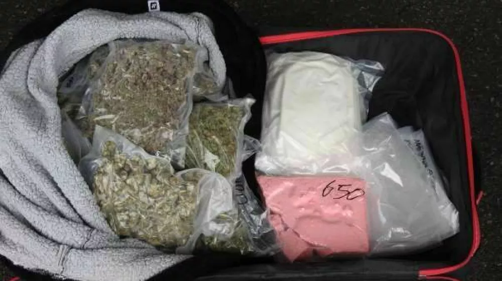 zaseg različnih vrst droge