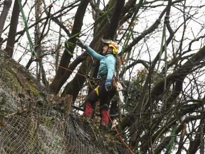 10.01.2025 - Priprave na sečnjo dreves - Grajski hrib, Grajski grič, Ljubljanski grad, posek - sečnja - Tisa - FOTO: LUKA CJUHA