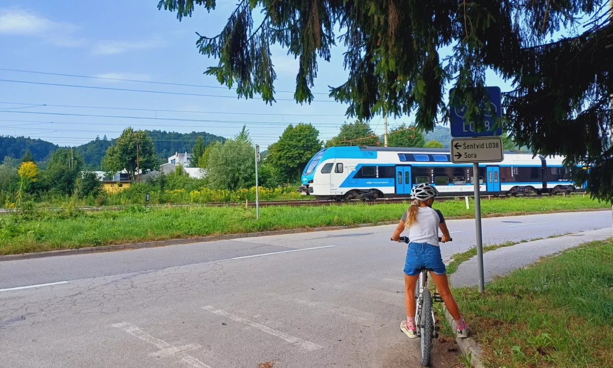 Lani je bilo zoper brezbrižne lastnike zemljišč uvedenih 124 inšpekcijskih postopkov, globe pa tudi letos znašajo 500 in 2000 evrov.