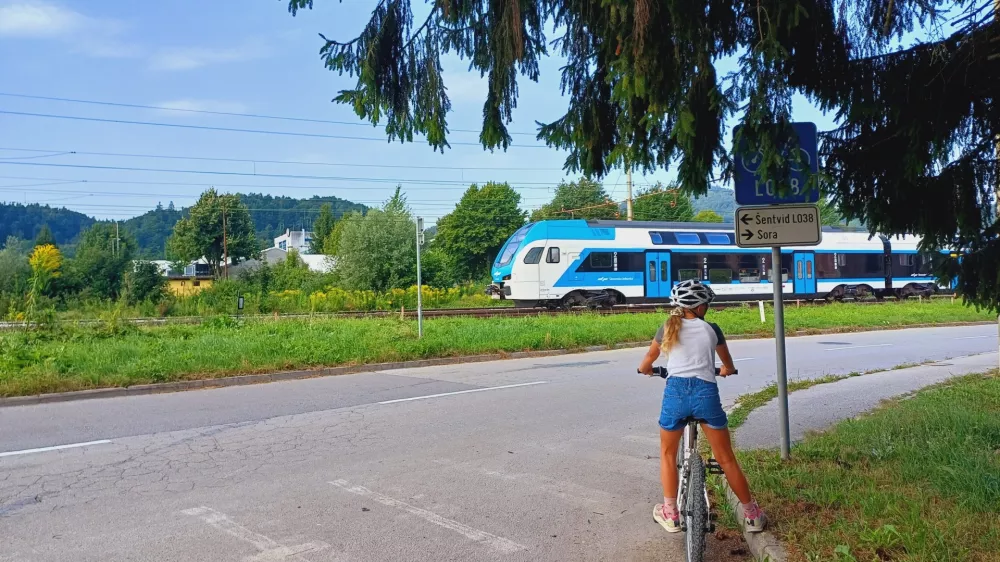 Moteča vegetacija AVP