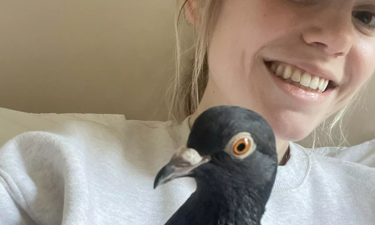 Ptičko je rešila kot zapuščenega mladiča.