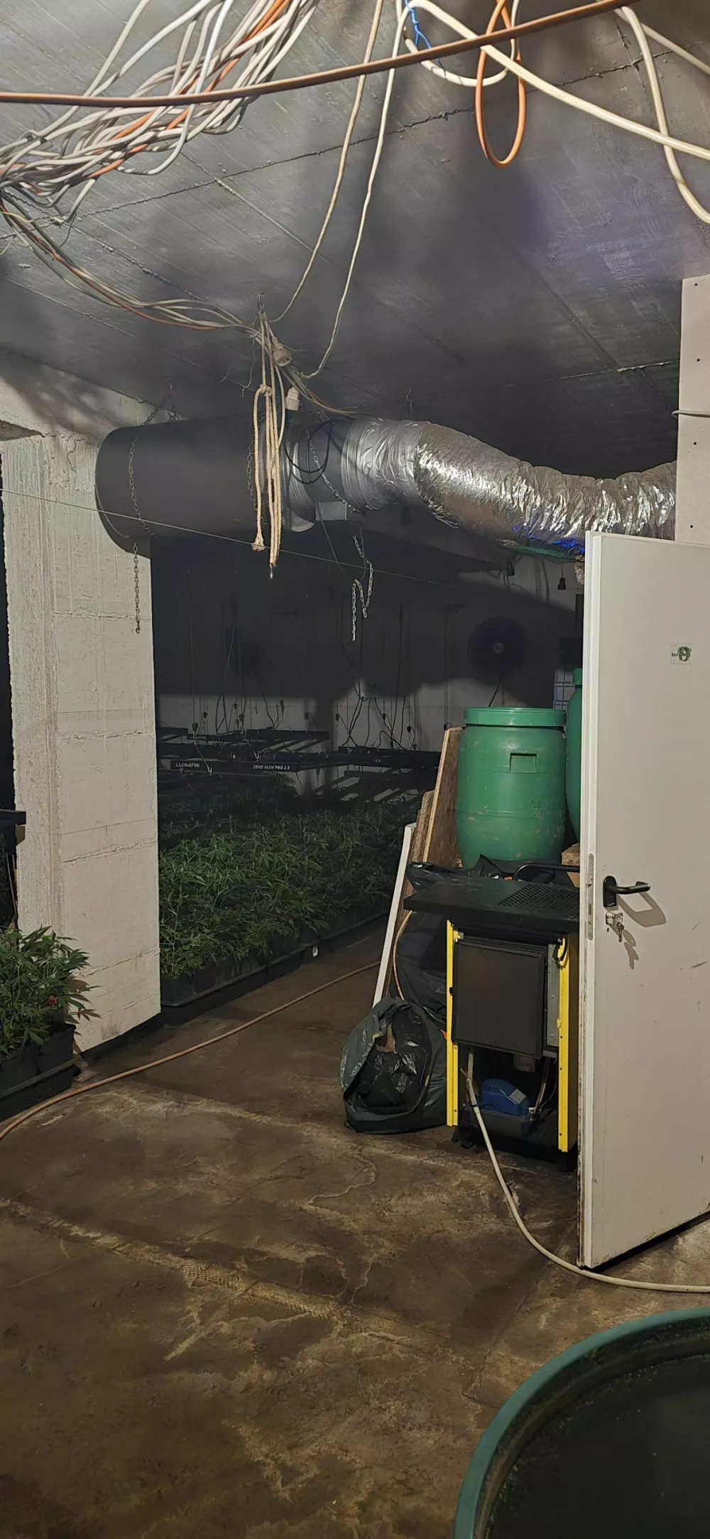 Ljubljanski kriminalisti so v hi&scaron;ni preiskavi na Igu zasegli 800 razstlin konoplje in okoli 20 kilogramov že posu&scaron;ene droge.