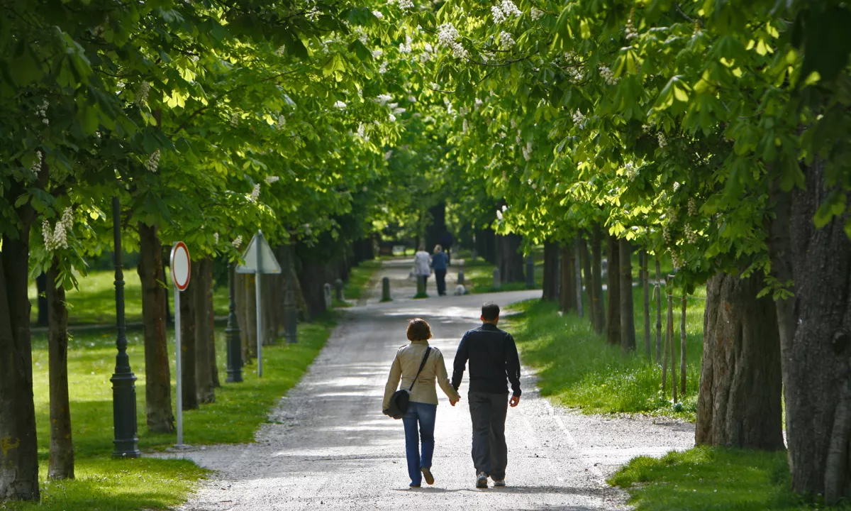 V zdravstvu se to pomlad že srečujejo s klopnim meningoencefalitisom, še bistveno večkrat pa z lymsko boreliozo.