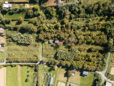 Koper, urbani vrtički. Foto: Občina Koper