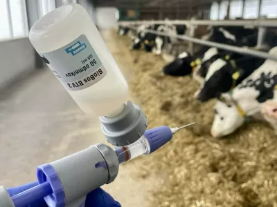 Skrajni rok za cepljenje podalj&scaron;ali do 30. aprila
