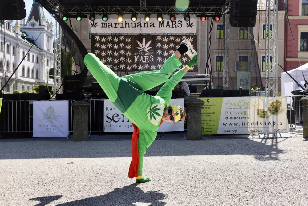 Podporniki legalizacije konoplje: &raquo;Zahtevamo upo&scaron;tevanje referenduma&laquo;