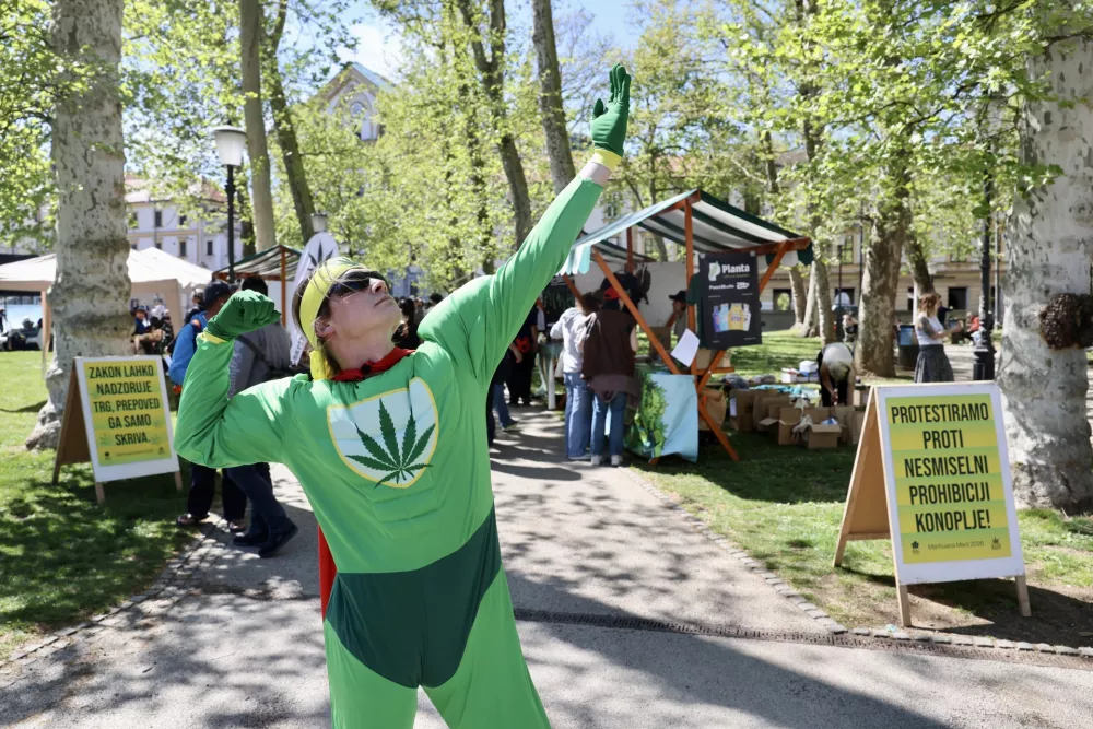 Podporniki legalizacije konoplje: &raquo;Zahtevamo upo&scaron;tevanje referenduma&laquo;