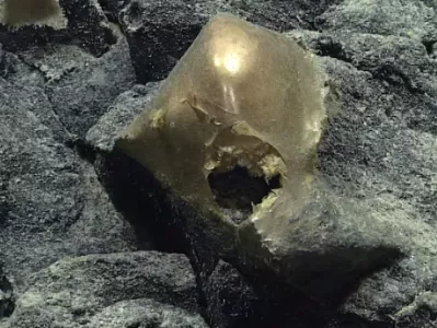 Zlata krogla. Foto: NOAA Ocean Exploration