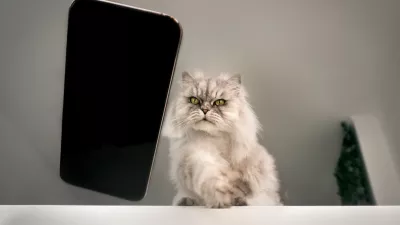 Naughty playful bad cat throwing or dropping mobile phone on the floor from the table. Concept of damage from pets. Disobedient behavior of domestic animal. Cat breaking things. High quality photo / Foto: Daria Kulkova Getty Images/istockphoto