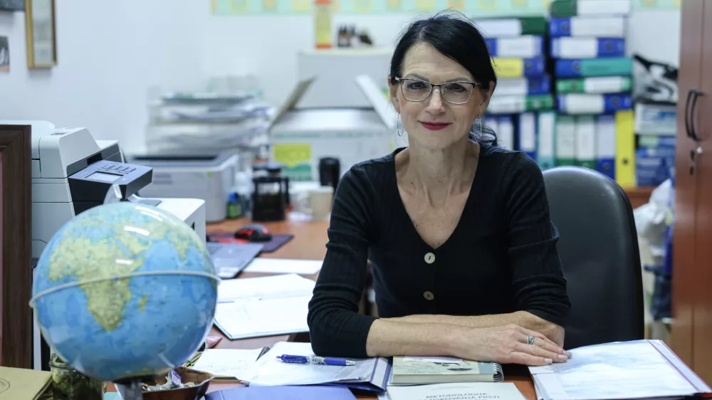 Ddr. Ana Vovk: Evropa nam sanacije ne bo plačala dvakrat