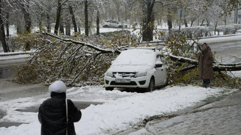 A woman looks at a car pinned under a tree after a snowfall in Moscow, Russia, Monday, April 27, 2026. (AP Photo/Alexander Zemlianichenko)