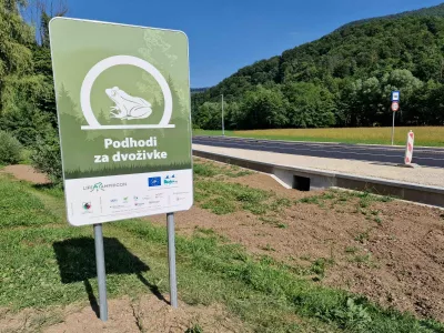 Žabe letos prvič skozi podhode