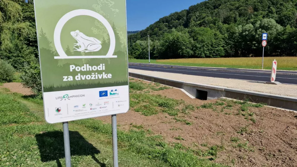 Žabe letos prvič skozi podhode