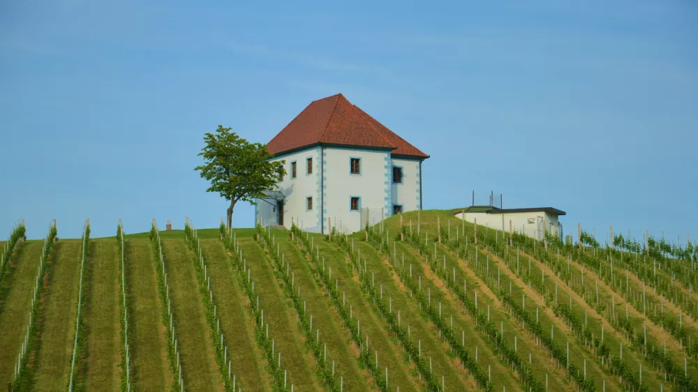Zlati Grič, Slovenske Konjice