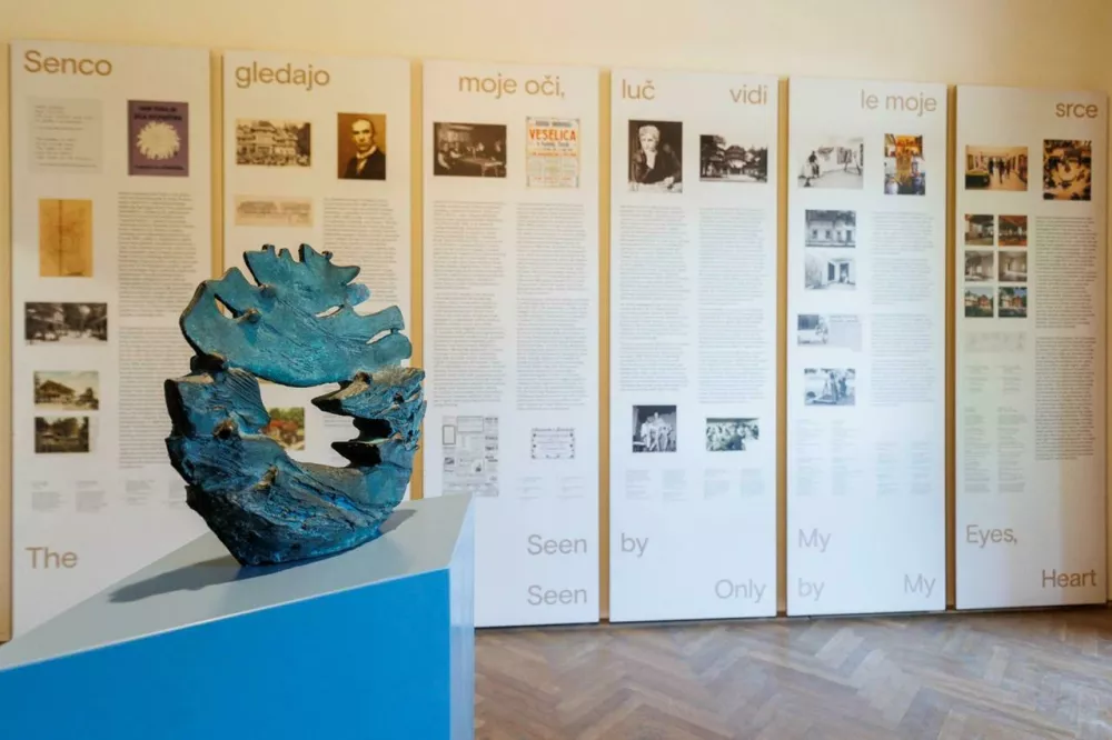 Senco gledajo moje oči, luč vidi le moje srce. Postavitev razstave, MGLC &Scaron;vicarija, Ljubljana, 2022. / Foto: Matjaž Ru&scaron;t, Arhiv MGLC