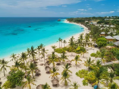 Aerial view of palms on the sandy beach of Indian Ocean at sunny day. Summer holiday in Zanzibar, Africa. Tropical landscape with palm trees, white sand, blue water, hotels. Top view of sea coast / Foto: Den-belitsky