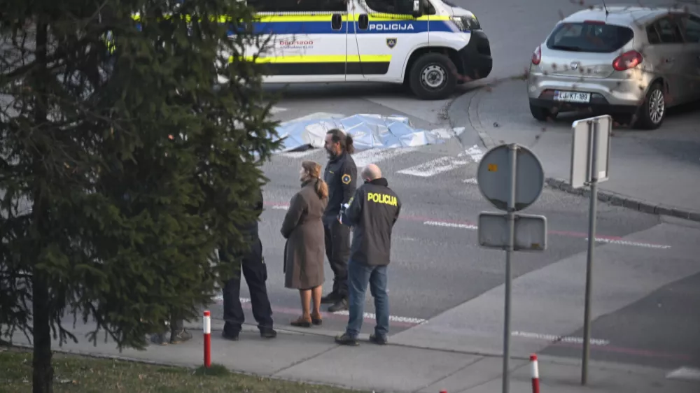 Policija - simbolična fotografijauboj - umorpreiskovalci - kriminalisti - preiskava 06.03.2026 Brnik - Streljanje policistov na storilca z nožem - Fužine - napad na policiste Foto: Nik Erik Neubauer