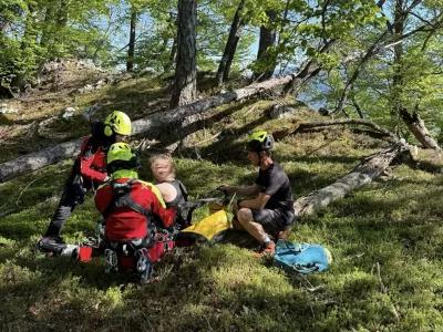 ugriz modrasa Radovljica