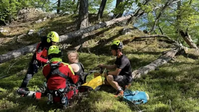 ugriz modrasa Radovljica