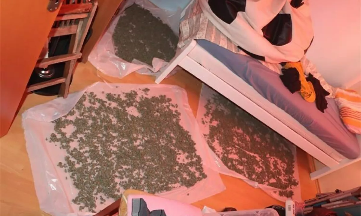 Policisti so v Umagu aretirali 35-letnega slovenskega državljana, pri katerem so našli tudi »laboratorij« za proizvodnjo droge.