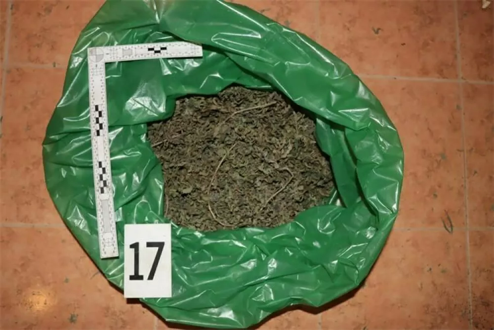 Slovencu so v Umagu zasegli več kilogramov marihuane. 
