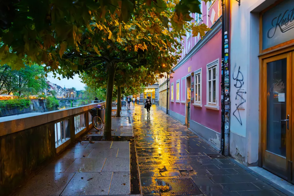 Tudi na mestnih ulicah, &scaron;e posebej pa na zelenicah v naravi, je po dežju v zraku prav posebna aroma. / Foto: Istock