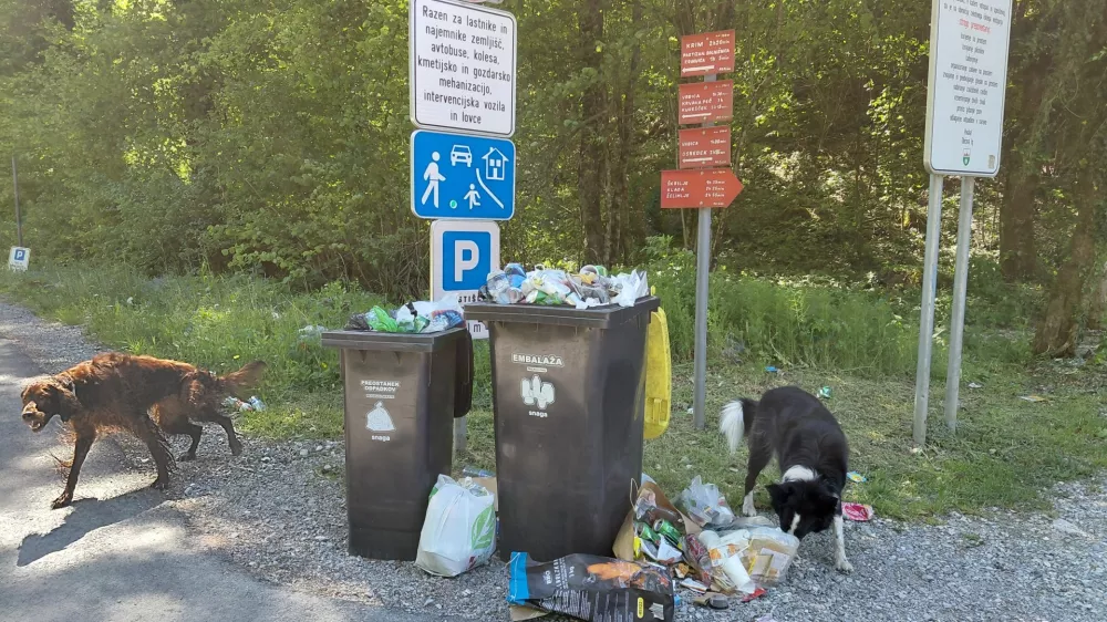 Smeti v I&scaron;kem vintgarju. F Vesna Levičnik