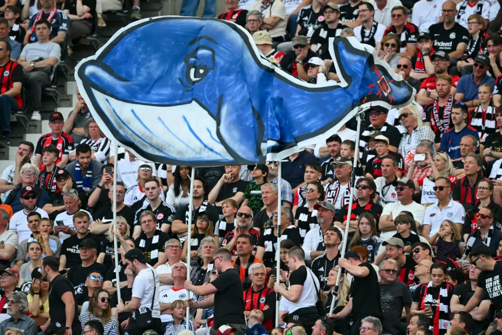 Njegova usoda je močno prevzela &scaron;ir&scaron;o javnost. Slika je z nogometne tekme, na kateri so prena&scaron;ali kitovo podobo. / Foto: Profimedia