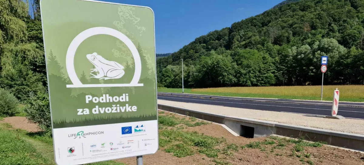 podhod za žabice Kozjanski park / Foto: Andreja Kavčič