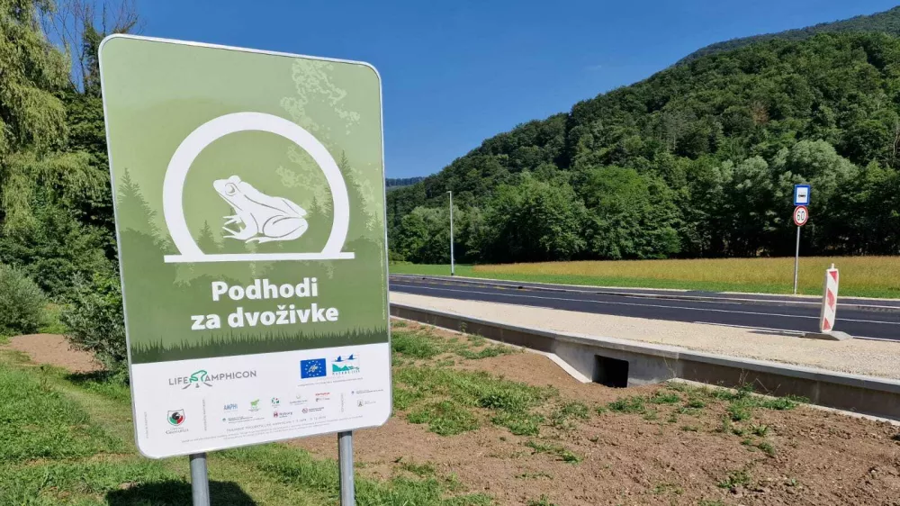 podhod za žabice Kozjanski park / Foto: Andreja Kavčič
