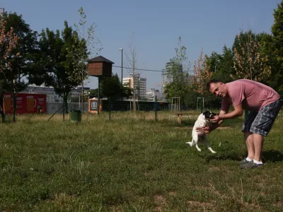 - 21.06.2019 -  Pasji park Župančičeva jama v Ljubljani - pasje igri&scaron;če med Vilharjevo in Železno cesto, nasproti železni&scaron;kega podhoda  - pes -//FOTO: Luka Cjuha.
