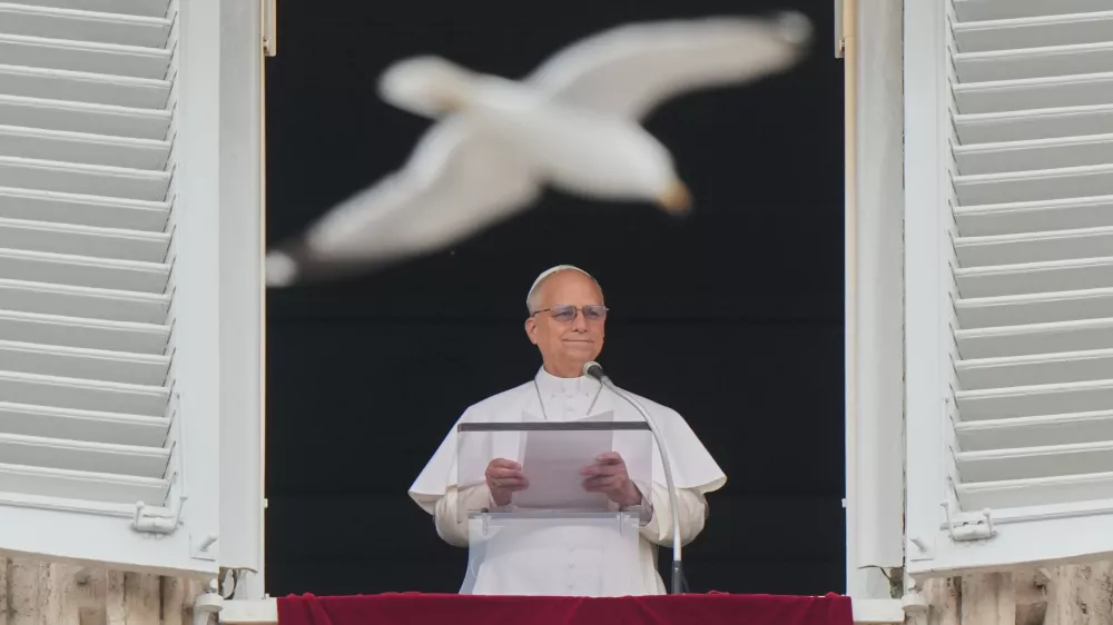 A seagull flies past as Pope Leo XIV recites the Regina Coeli noon prayer from the window of his studio overlooking St. Peter's Square, at the Vatican, Sunday, May 10, 2026. (AP Photo/Andrew Medichini)