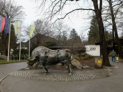 7.2.2026 - ZOO Ljubljana - živalski vrtFoto: Luka Cjuha