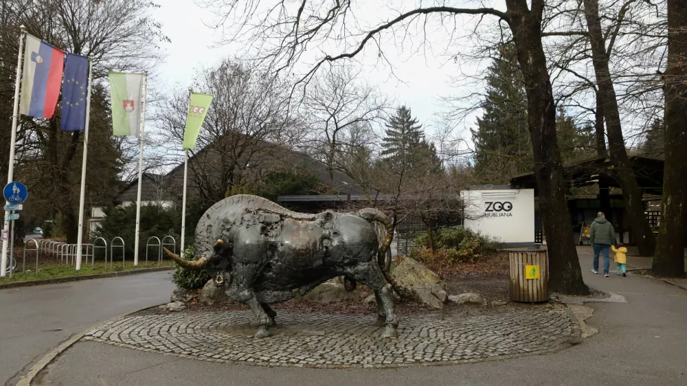 7.2.2026 - ZOO Ljubljana - živalski vrtFoto: Luka Cjuha