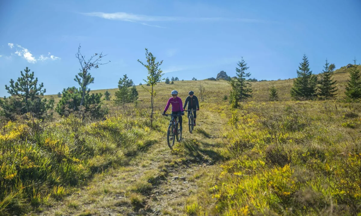 Novi regijski park: kje se skriva »slovenska prerija« in kaj prinaša domačinom?