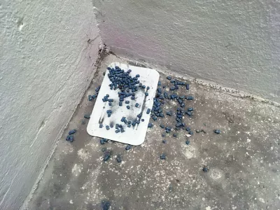Foto: Profimedia