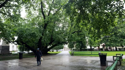 12.05.2026 - Miklošičev parkFoto: Tomaž Skale