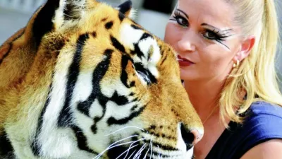 Foto: zajem zaslona X