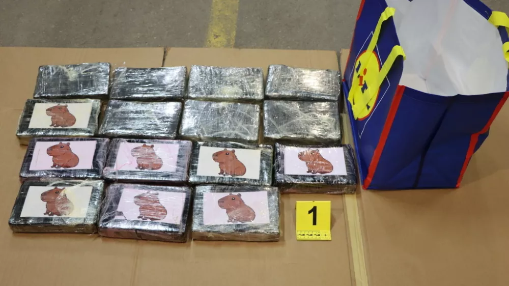 NPU, kokain, 60 kilogramov, Celje. Foto: Policija